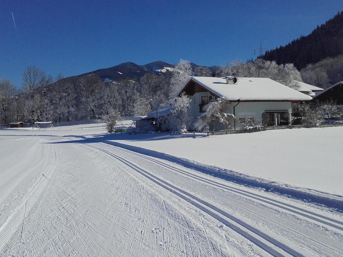 Ferienhaus Kahr Appartment Ennstal Radstadt Exteriör bild